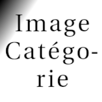 Catégorie 2